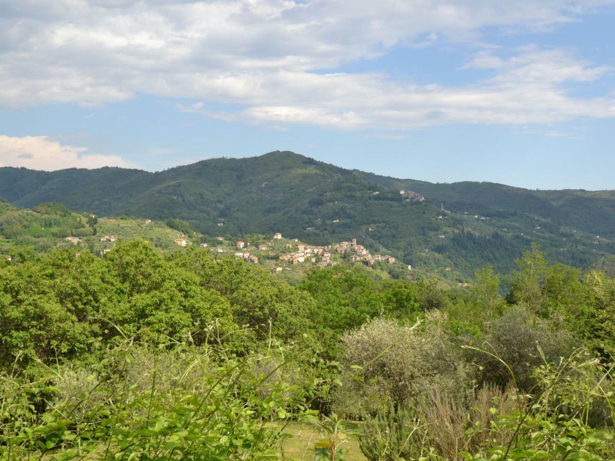 Belvilla By Oyo Olivi Verde * San Quirico (Pescia)